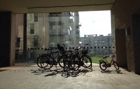 https://www.z3xmi.onnik.hep.it/get image.phtml?image=biciclette+cortili https://www.z3xmi.onnik.hep.it/get image.phtml?image=biciclette+cortili