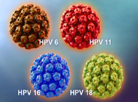 https://www.z3xmi.onnik.hep.it/get image.phtml?image=vaccino+HPV https://www.z3xmi.onnik.hep.it/get image.phtml?image=vaccino+HPV